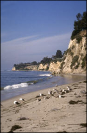 Malibu