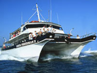 Deep  Fishing Madeira Beach Florida on Deep Sea Fishing John S Pass Madeira Beach Fl Go Fishing With Hubbard