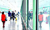 Search for Airline Tickets