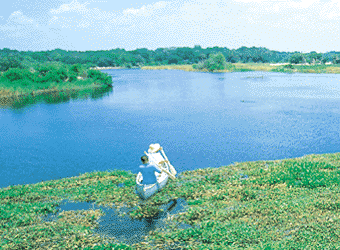 Canoeing in Myakka River State Park