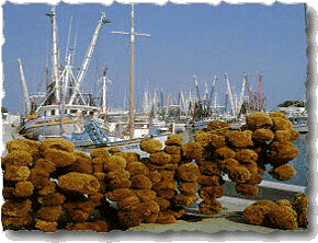 Tarpon Springs Sponge Docks