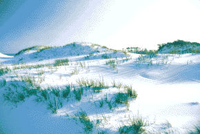 Sand Dunes at Navarre