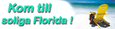 Svensk-�gt Hotell i Clearwater