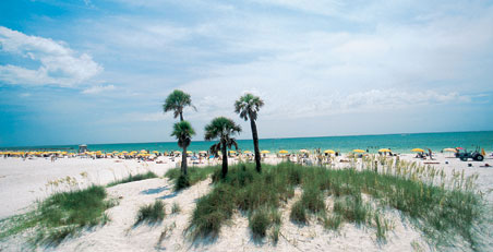 Clearwater Beach - Sand Dune