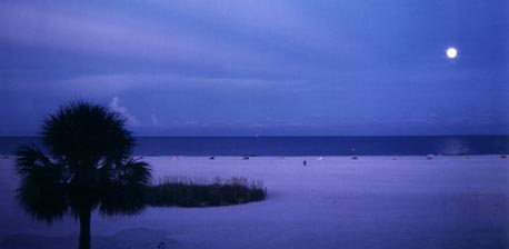 Treasure Island Beach at Night