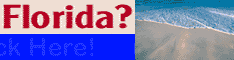 Industry Standard Banner - Beach Directory