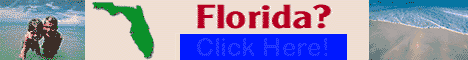 Industry Standard Banner - Beach Directory